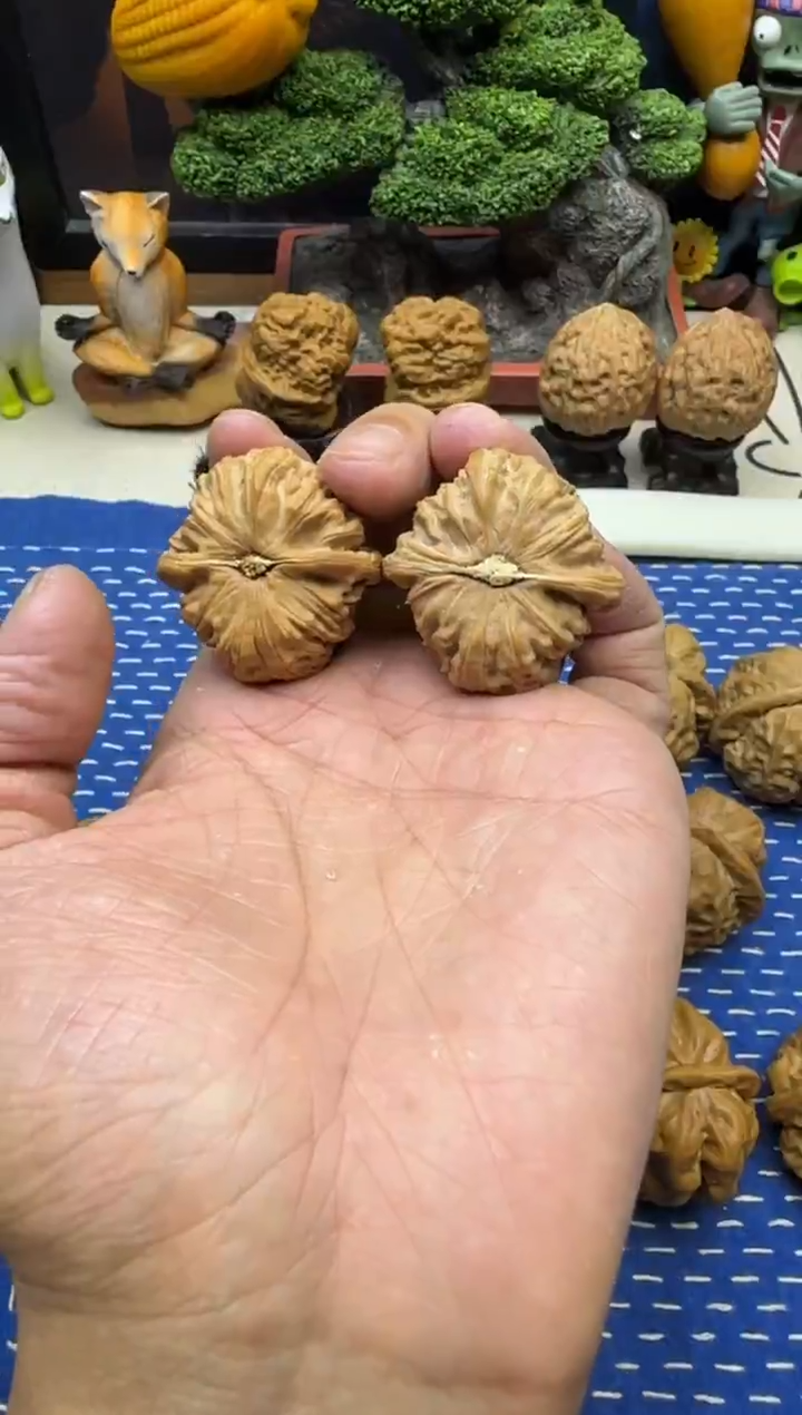 把件文玩核桃全品白茬白狮子