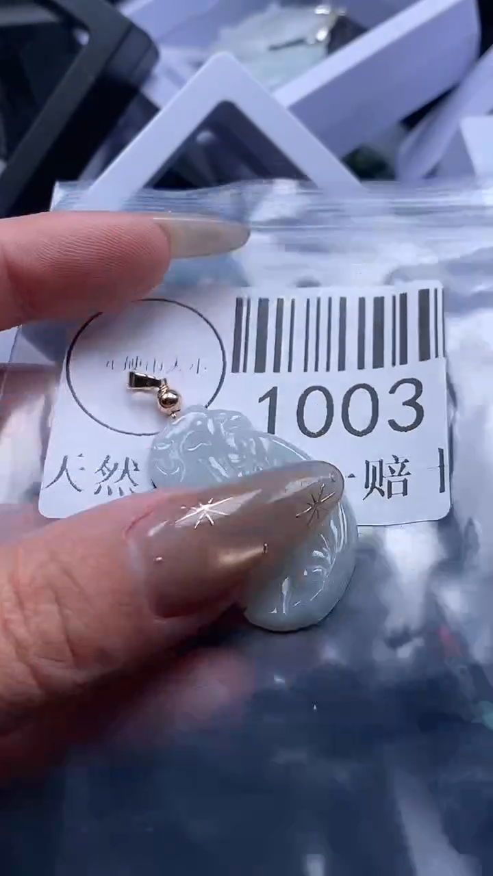 颈饰未镶嵌翡翠1003