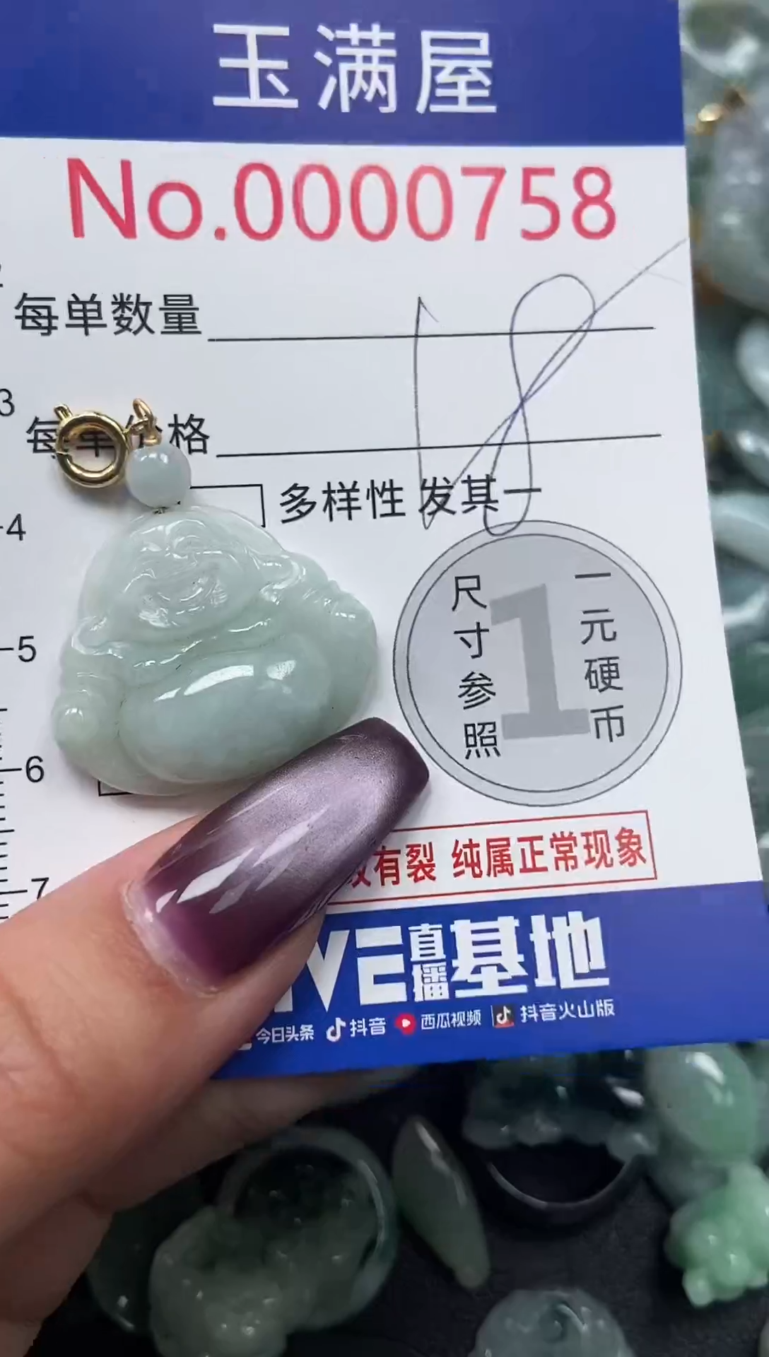 颈饰未镶嵌翡翠758