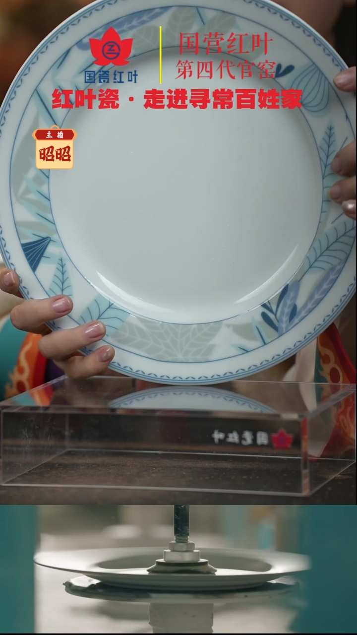 陶瓷1个微瑕春华实录10英寸平盘（繁）