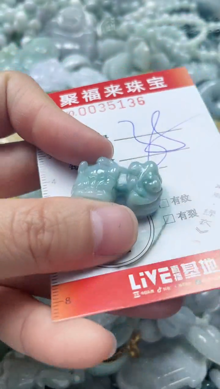 【闪购商品】翡翠颈饰未镶嵌闪购0035136