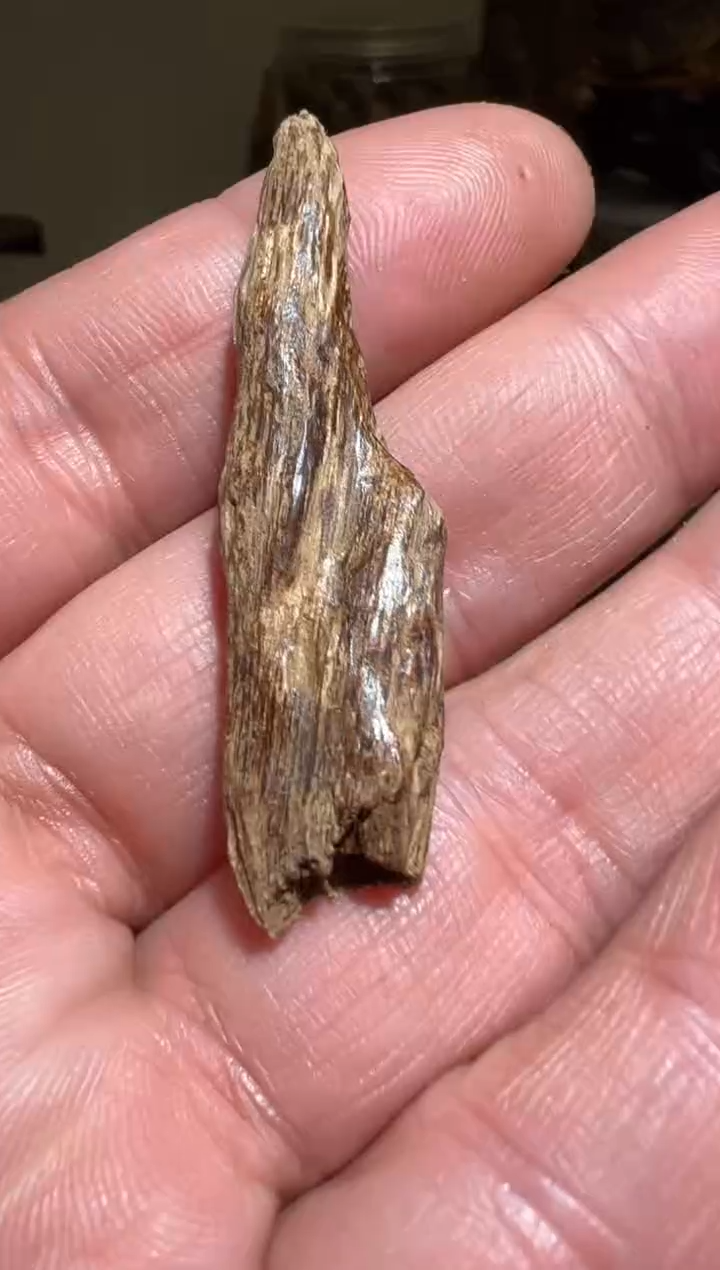 【闪购商品】沉香沉香木制品加里曼丹1克