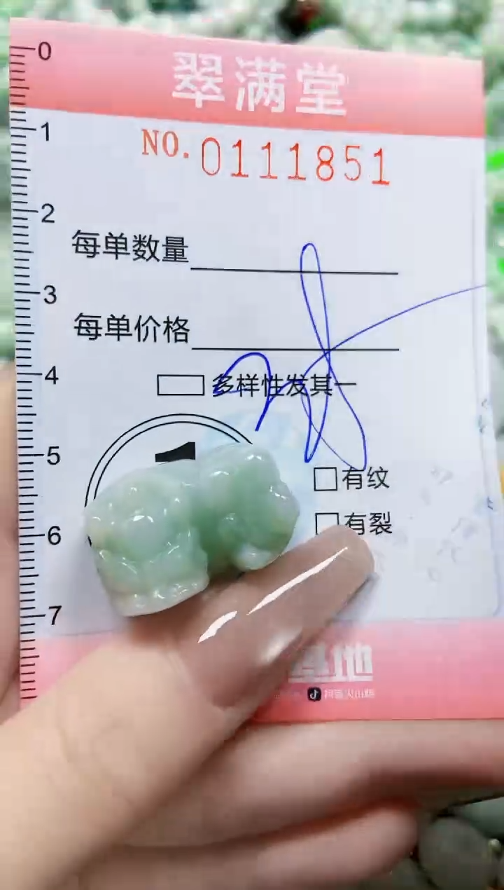 【闪购商品】翡翠颈饰未镶嵌闪购0111851