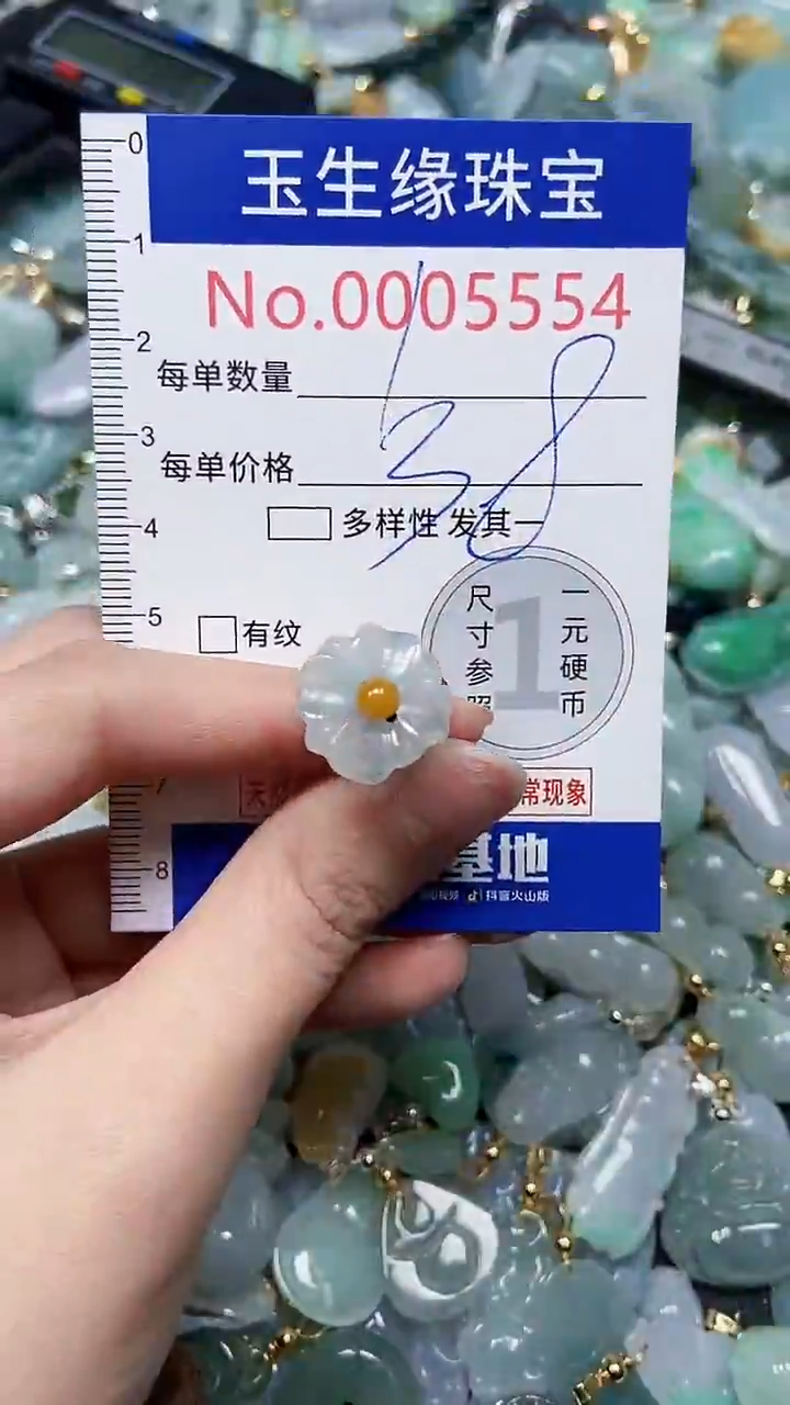 【闪购商品】翡翠颈饰未镶嵌闪购5554