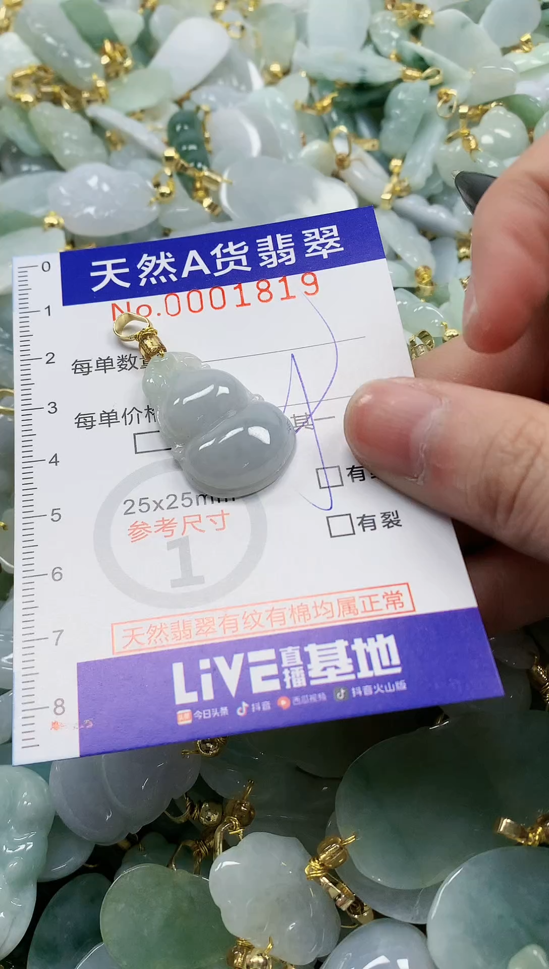 颈饰未镶嵌翡翠纯天然a货翡翠