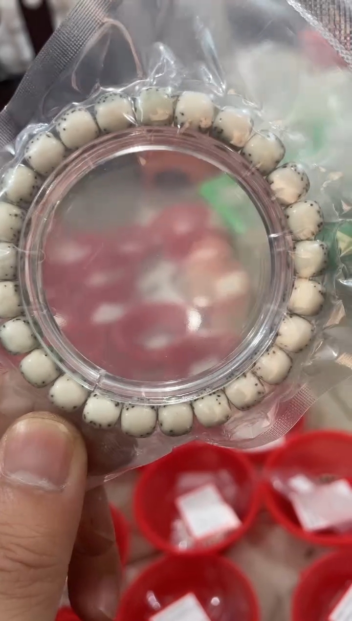 星月菩提手串海南星月菩提《H001》9x8河豚单圈