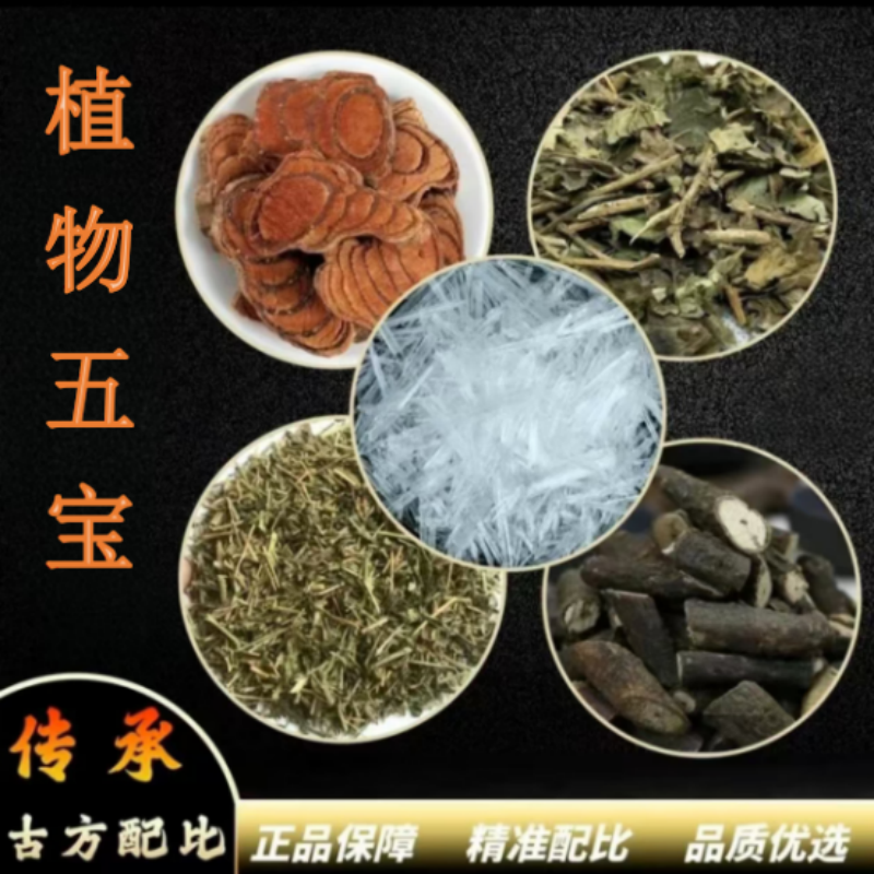 植物五宝 鸡血滕黑骨藤透骨草三角枫