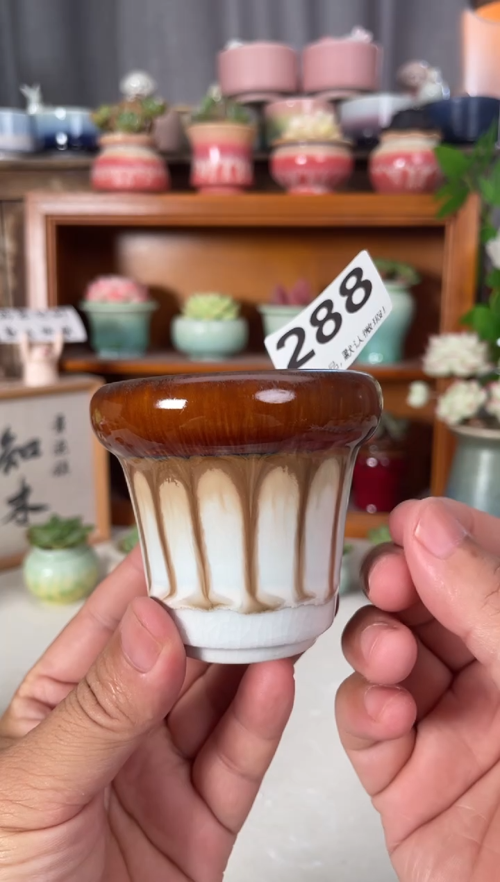 瓷片288知木小芳花盆