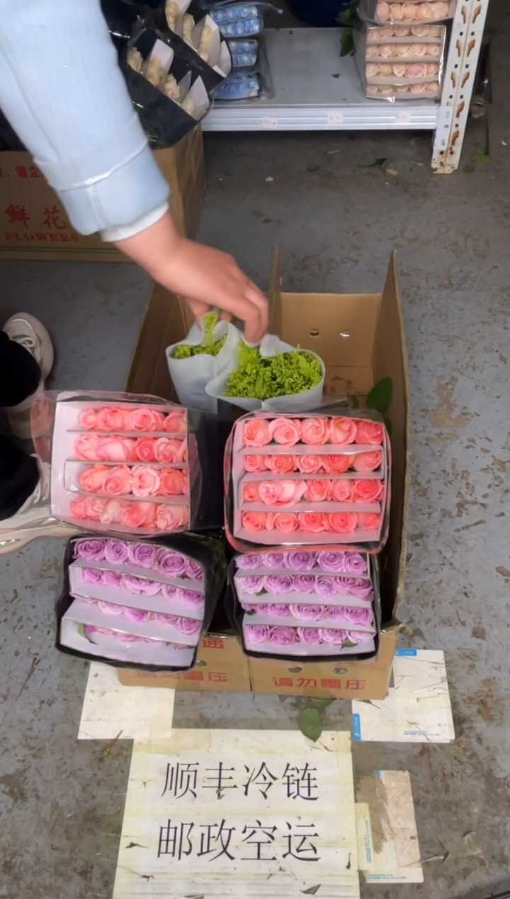 戴安娜20枝+海洋之歌20枝+黄莺