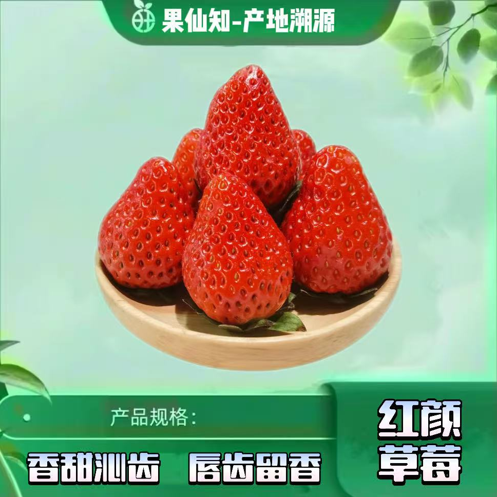 【 丹东红颜99-小果-12枚-礼盒/2盒】水果