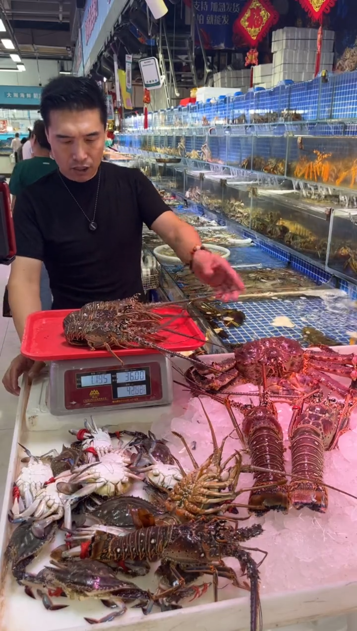 中国大陆鲜活古巴龙3只，2.3斤，公飞3斤