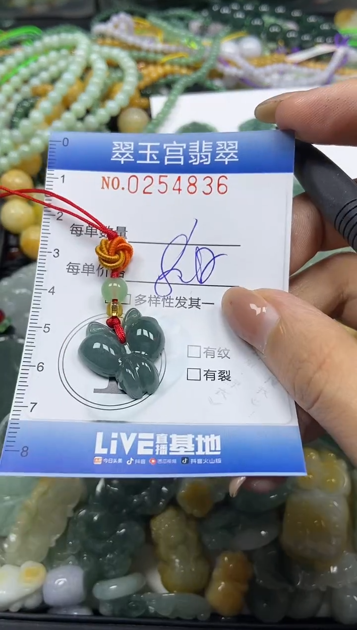 颈饰未镶嵌翡翠闪购C0254836