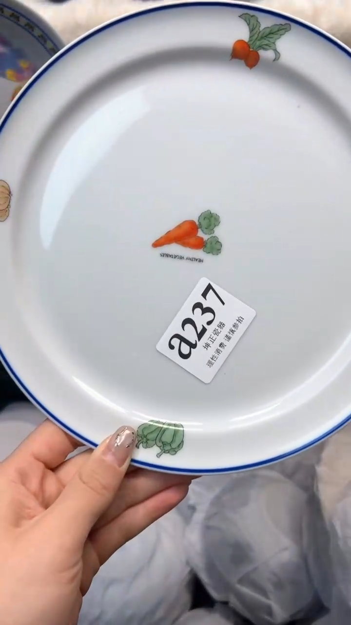 【闪购商品】瓷片          a237