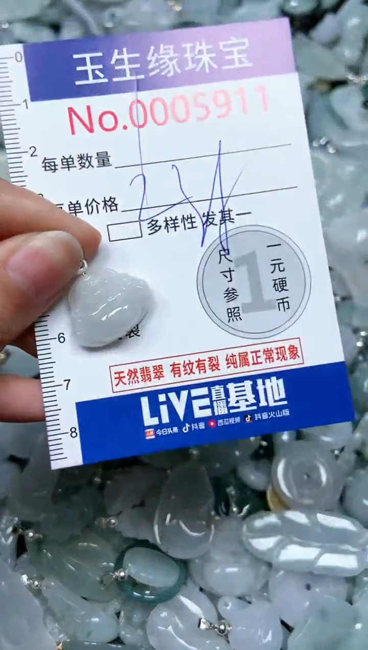 【闪购商品】翡翠颈饰未镶嵌闪购00005911