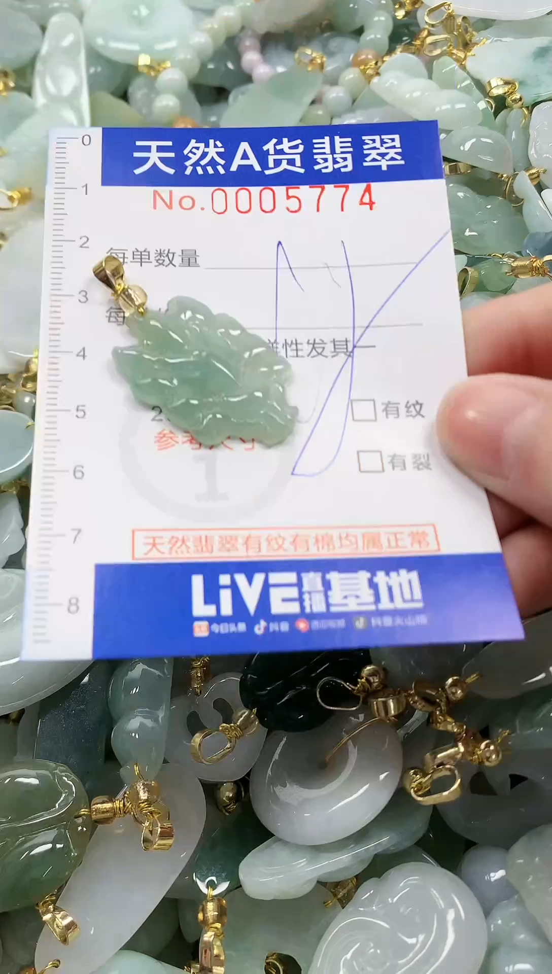 颈饰未镶嵌翡翠纯天然a货翡翠