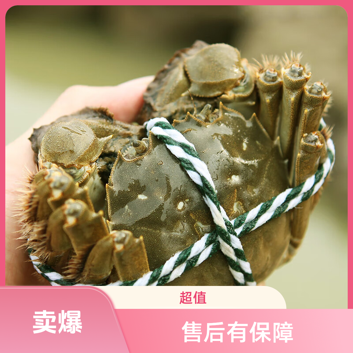 到手8只包邮包路损