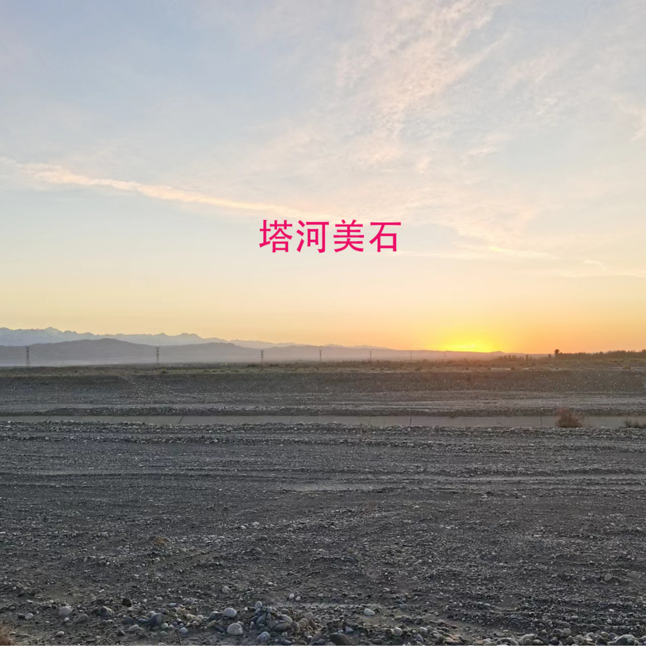 新疆塔里木河美石
