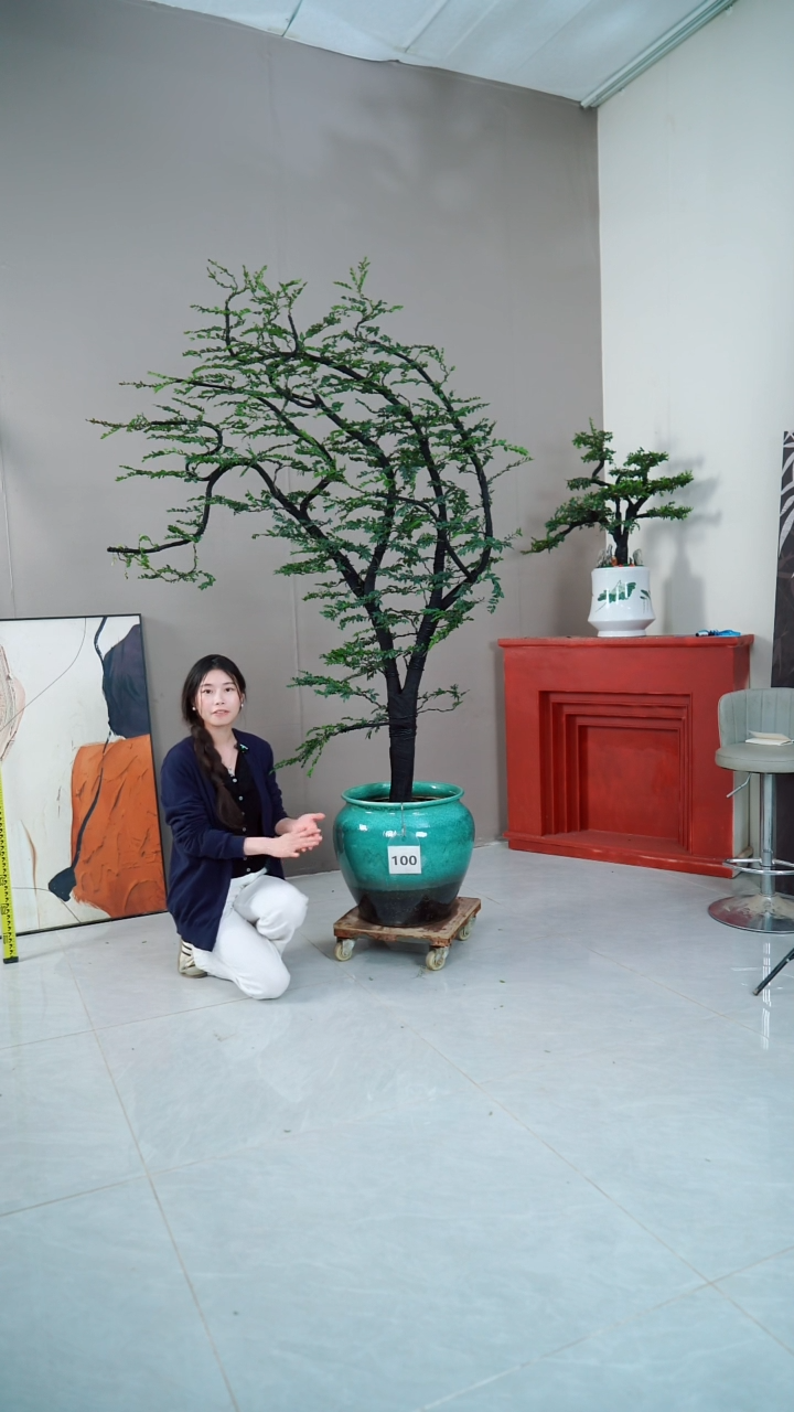 【闪购商品】100号链接