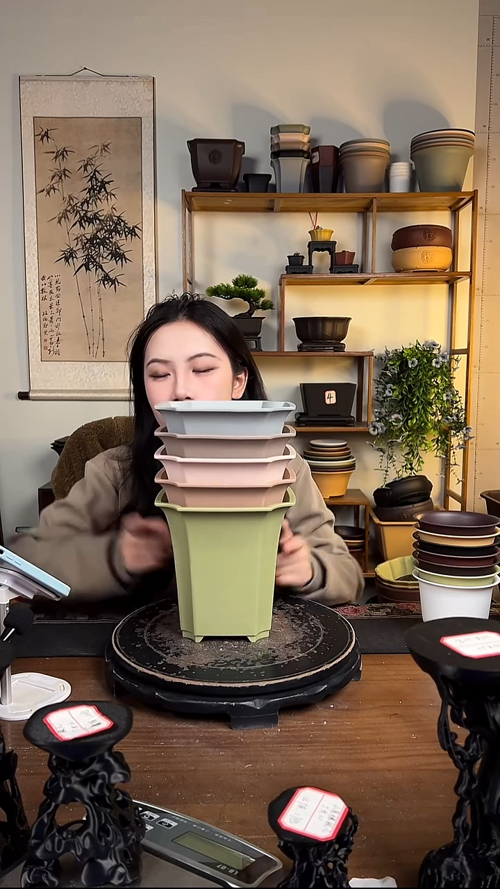 18*17.5四方尊 5只装混色