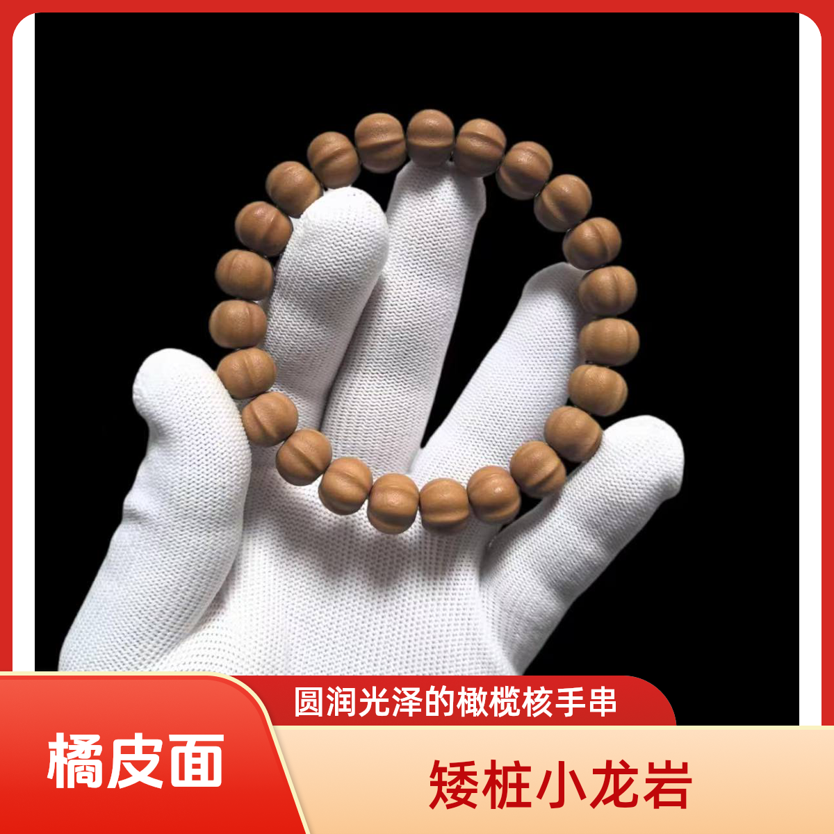 全品无暇猴头鲨鱼背