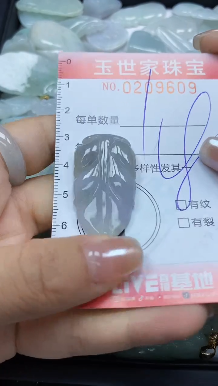 【闪购商品】翡翠颈饰未镶嵌闪购0209609