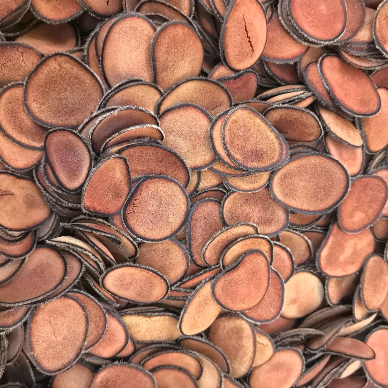 鹿茸片 20克 煮水炖汤泡酒进补养生滋补