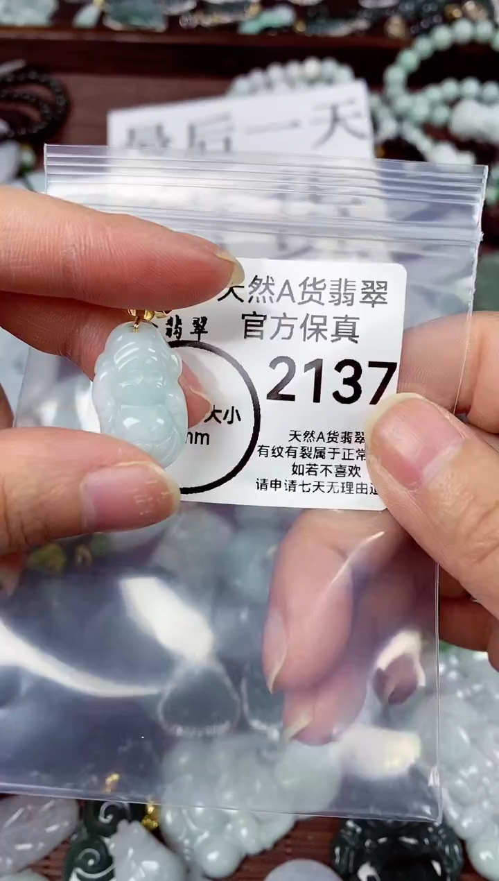 【闪购商品】翡翠颈饰未镶嵌天然A货翡翠2137