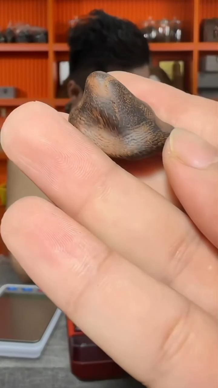 沉香吊坠a119号舍利子多样性发一