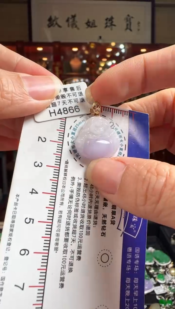 【闪购商品】翡翠颈饰18K金镶嵌H4866紫佛公