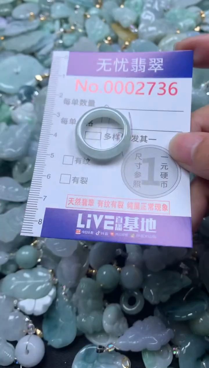 颈饰未镶嵌翡翠2736