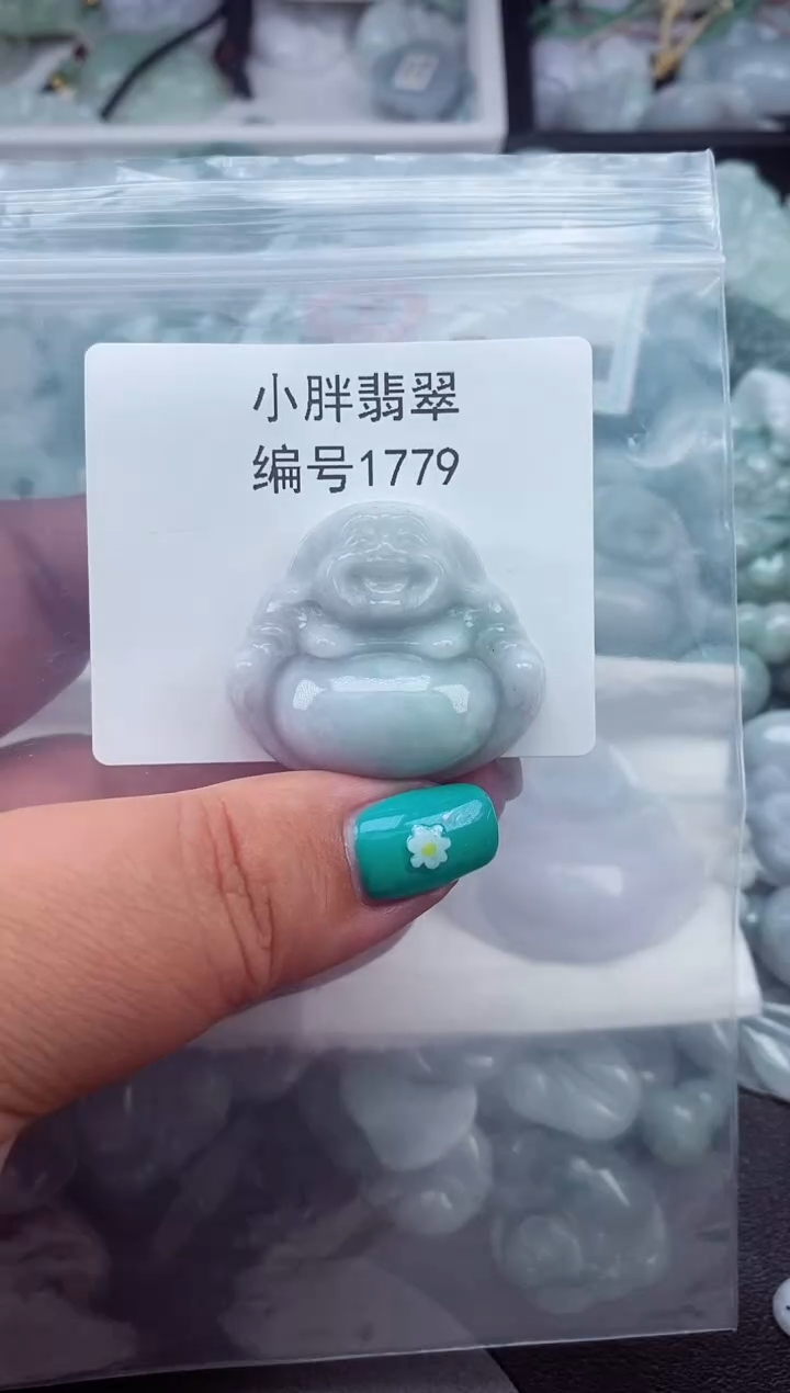 颈饰未镶嵌翡翠缅甸天然A货翡翠1779