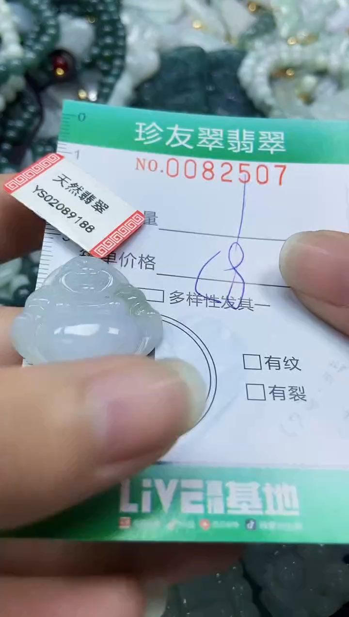 【闪购商品】翡翠颈饰未镶嵌闪购0082507