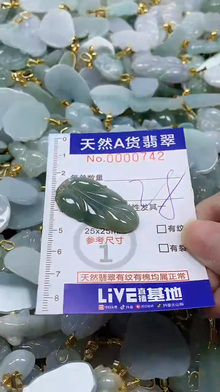 颈饰未镶嵌翡翠纯天然a货翡翠