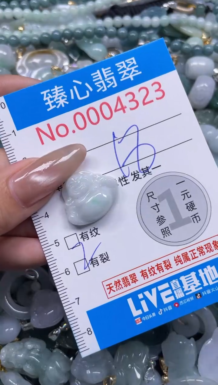 颈饰未镶嵌翡翠4323