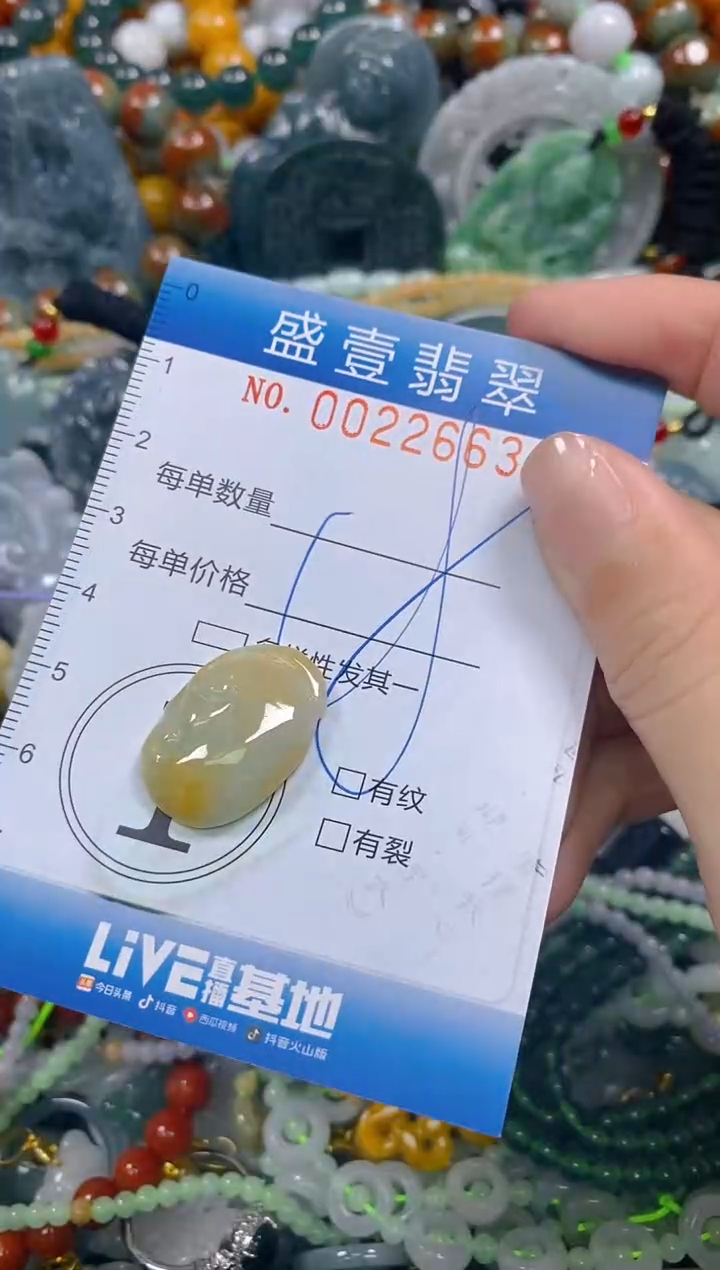 颈饰未镶嵌翡翠闪购0022663