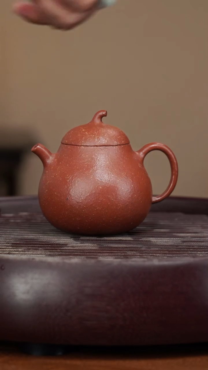 【闪购商品】紫砂茶壶宜兴紫砂壶