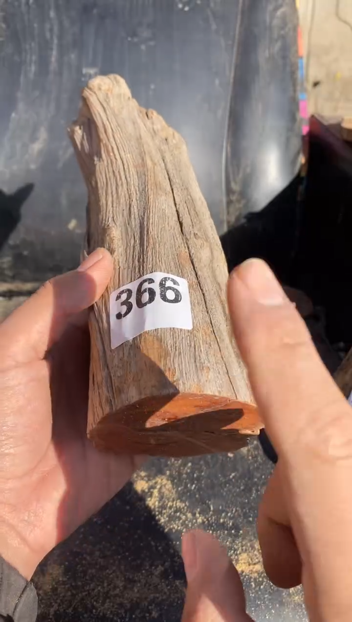 柏木（崖柏）太行陈华崖柏切片！随机（1单1片）366