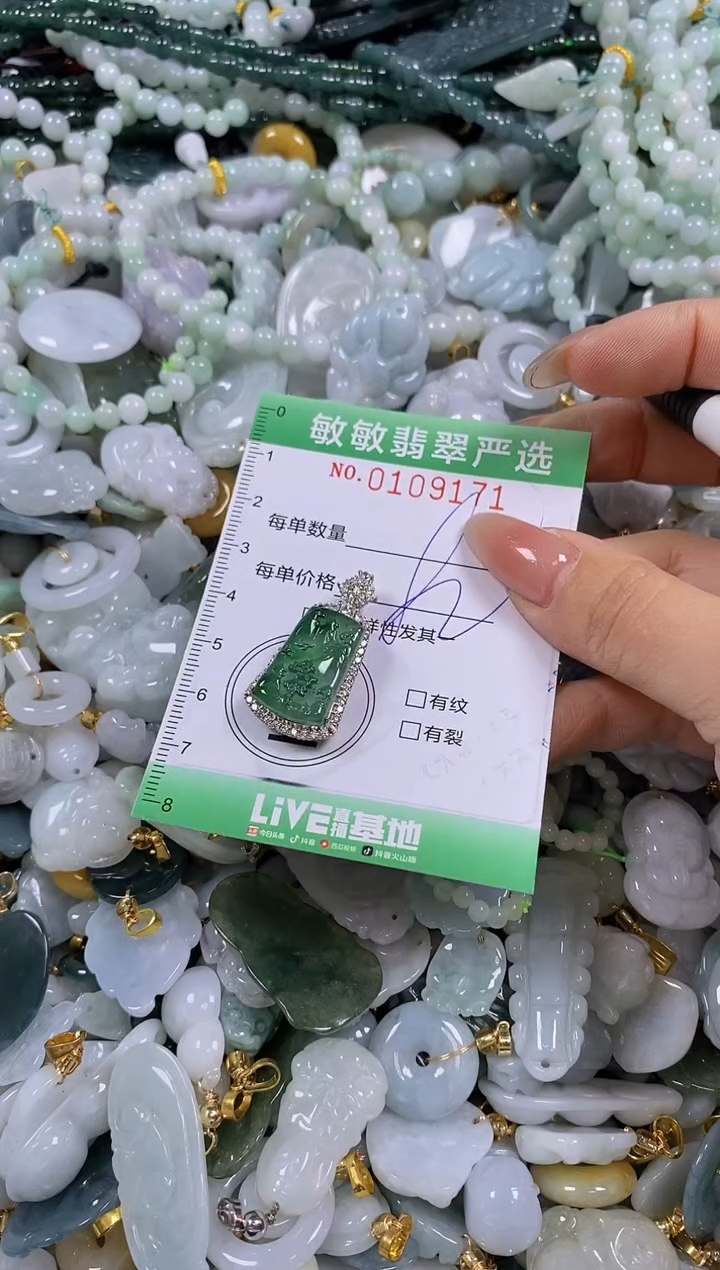 【闪购商品】翡翠颈饰未镶嵌闪购0109171