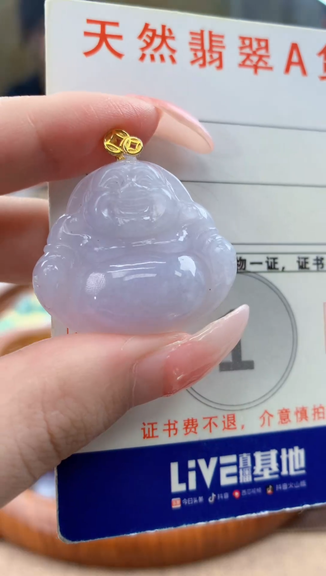 颈饰未镶嵌翡翠天然A货翡翠挂件