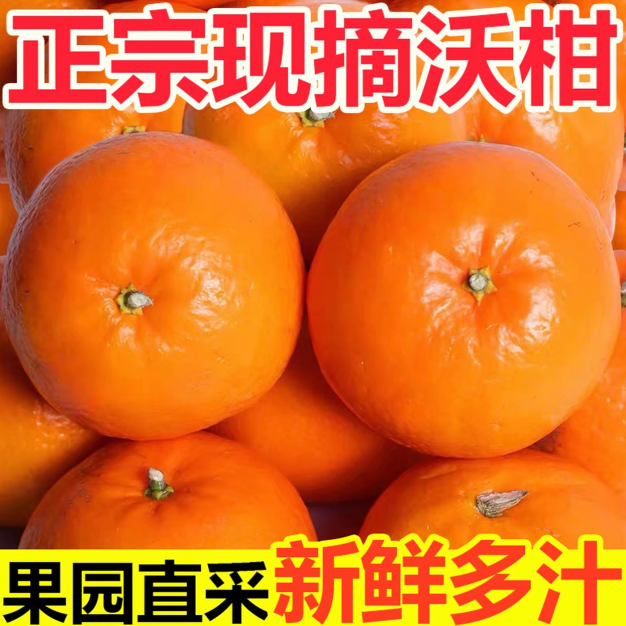 沃柑当季新鲜水果皮薄多汁香甜柑橘