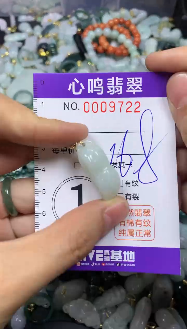 【闪购商品】翡翠颈饰未镶嵌闪购009722