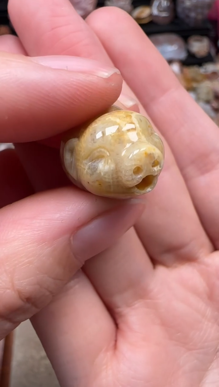 颈饰未镶嵌硅化珊瑚（珊瑚玉）753