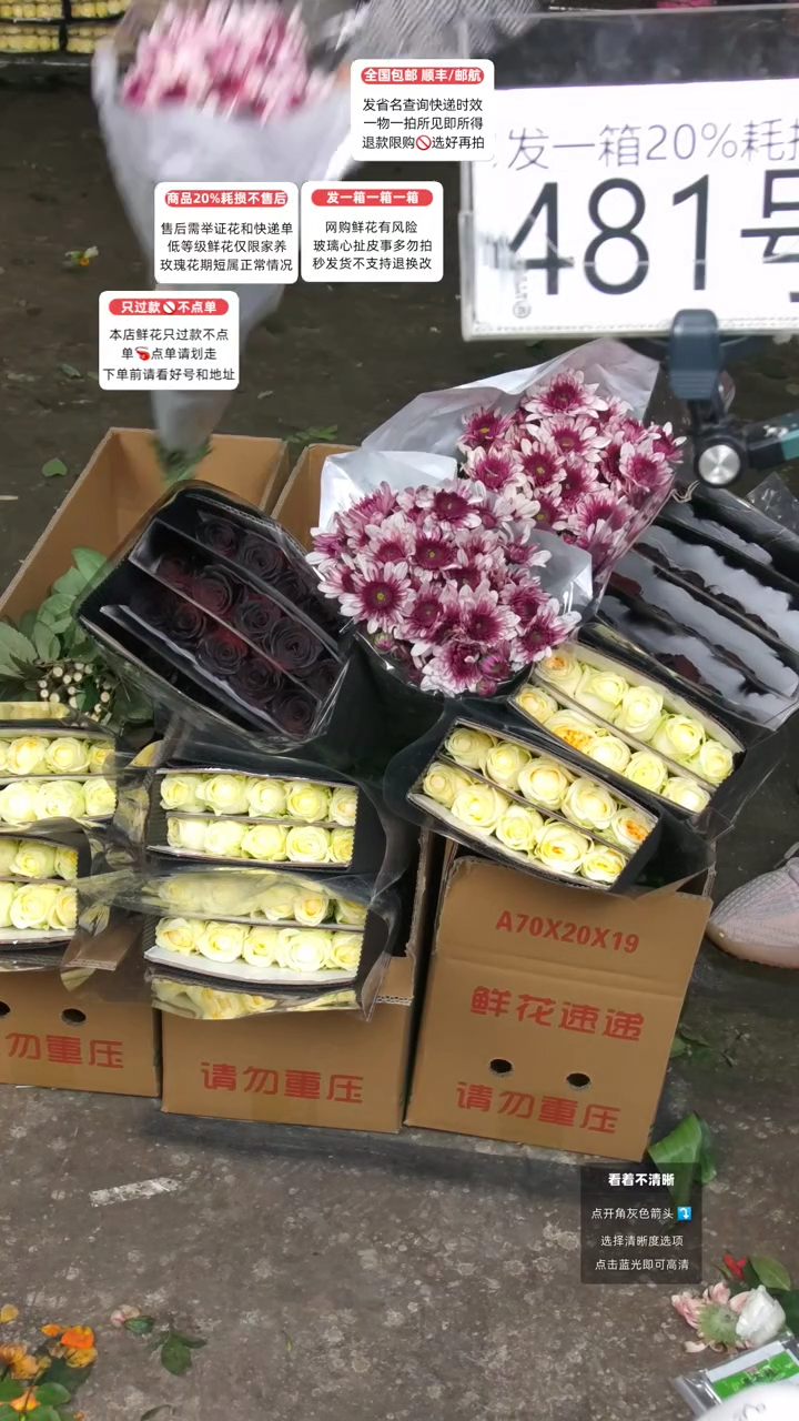 481号♥含20%耗损发一箱