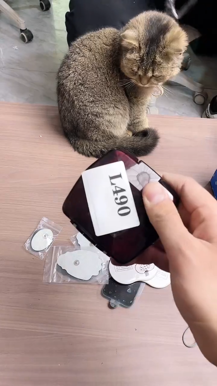 瓷片灵*默认微瑕回流古瓷490