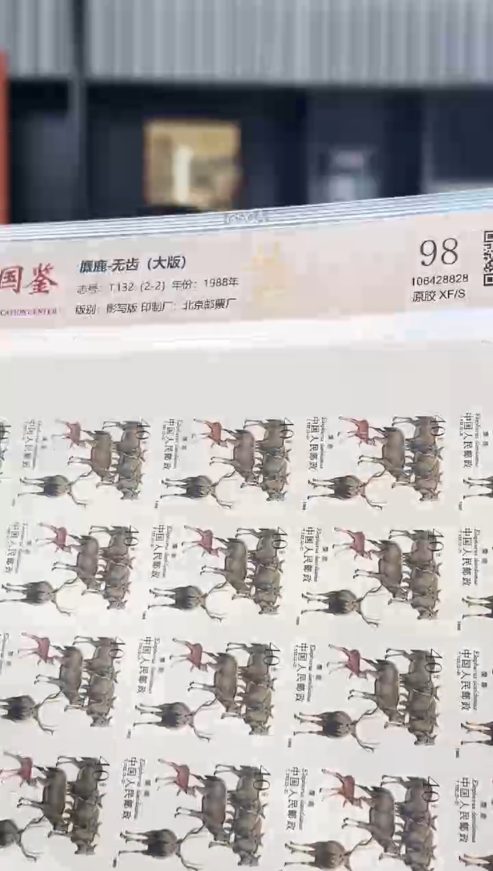 【闪购商品】T132 麋鹿无齿 大版 98分 原胶