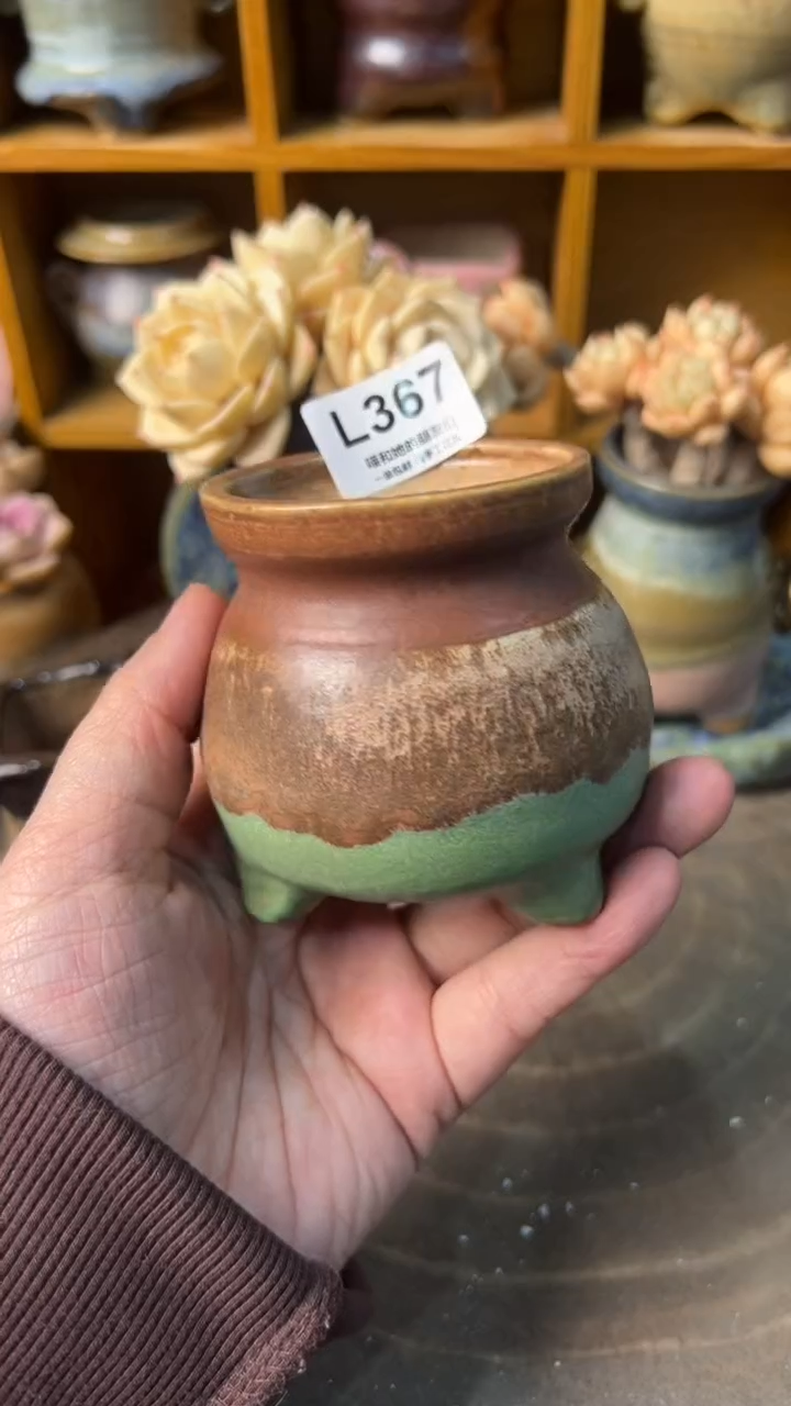 367 内口5.5【多肉花盆多肉盆】