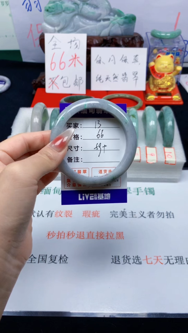 未镶嵌手镯翡翠13