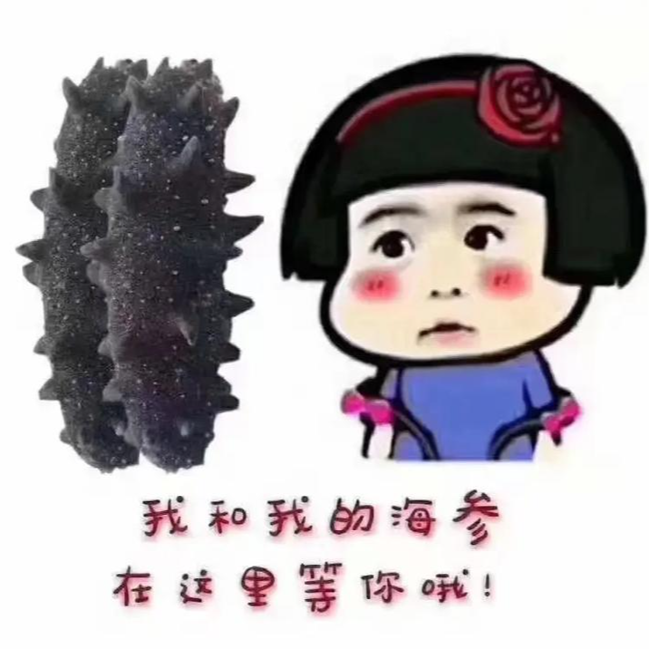 俄罗斯野生二红参500克（150-200头）
