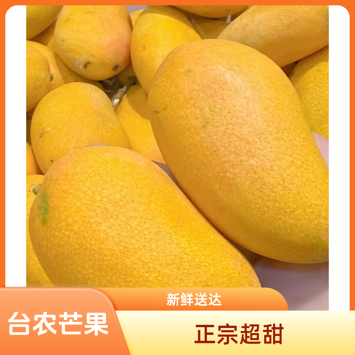 海南台农芒正宗树熟超甜浓郁新鲜孕妇水果当季