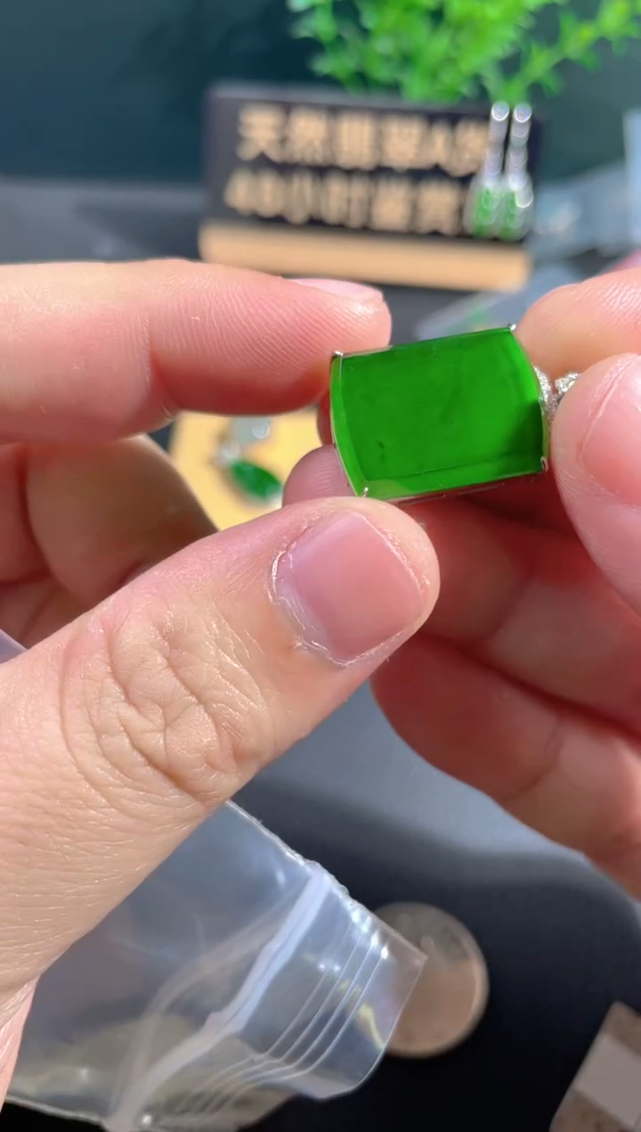 【闪购商品】翡翠颈饰18K金镶嵌翡翠